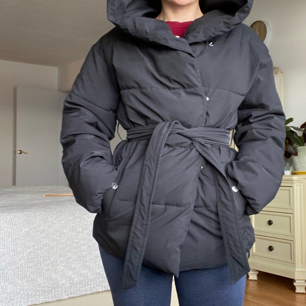Hooded puffer